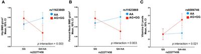 Interaction between MARK3 (rs11623869), PLCB4 (rs6086746) and GEMIN2 (rs2277458) variants with bone mineral density and serum 25-hidroxivitamin D levels in Mexican Mestizo women